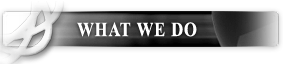 Customer Quotes